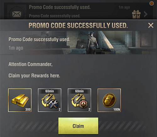 promo code successfully used